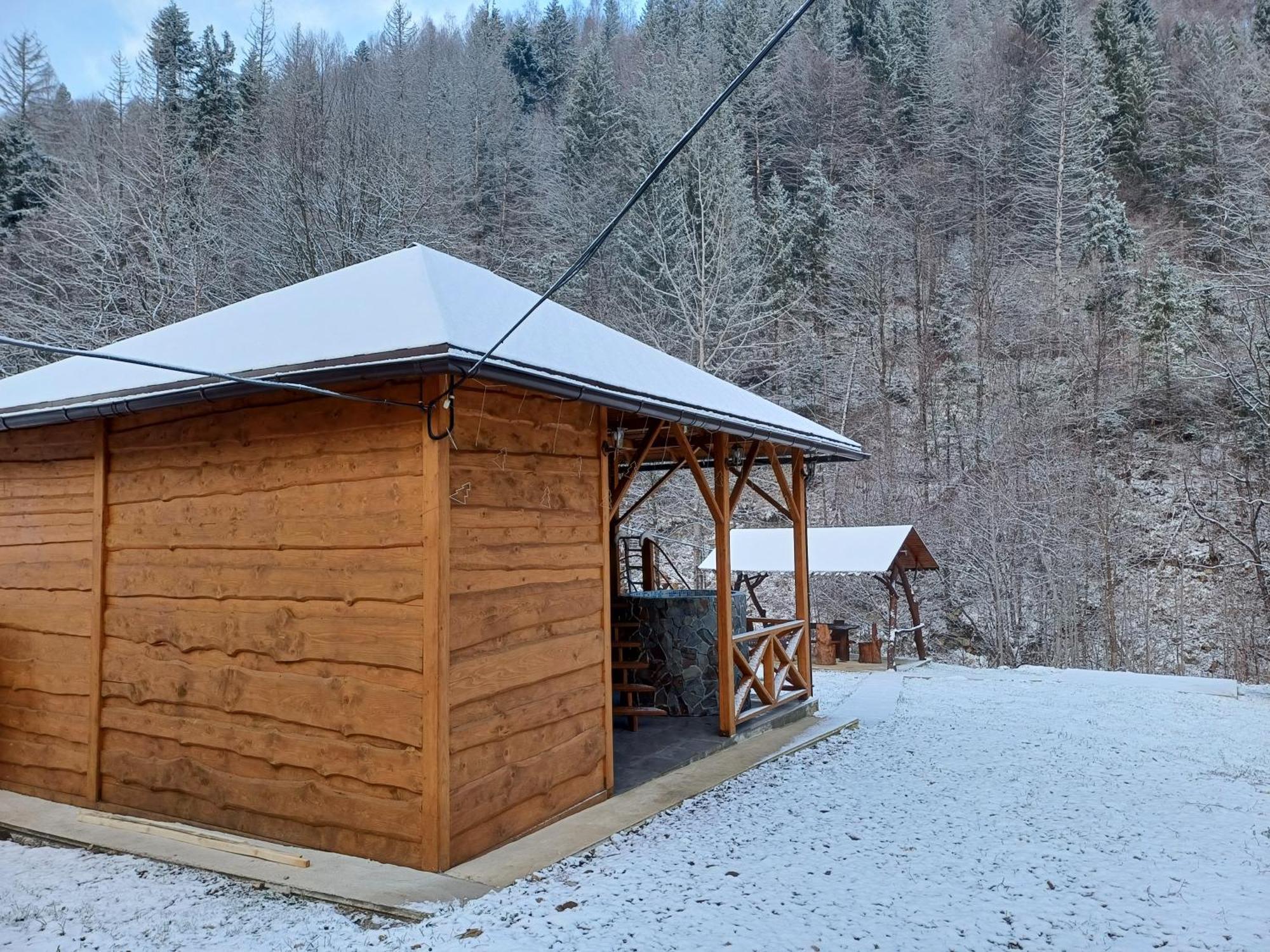 Садиба У Курила З Сауною Та Чаном На Дровах Shepot Exterior foto